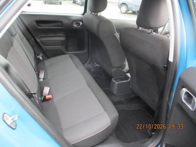 c4 cactus